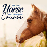 Horse Whispering Youth Program